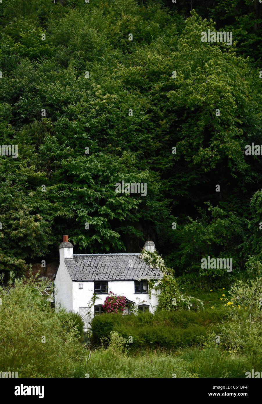 White Washed Slate Roofed Country Cottage On The Banks Of The
