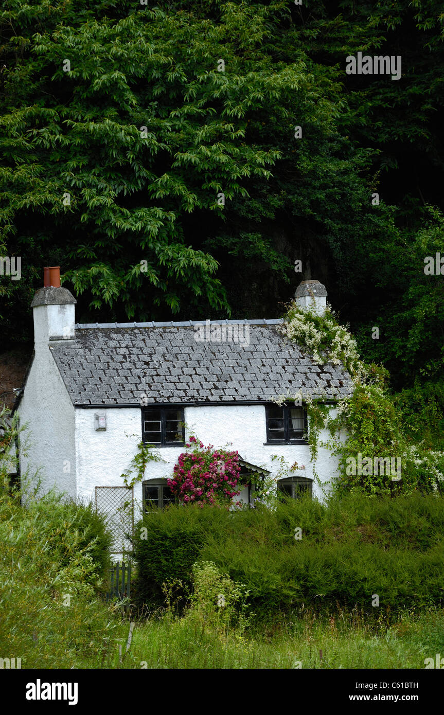 White Washed Slate Roofed Country Cottage On The Banks Of The