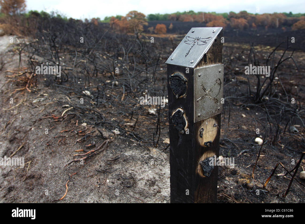 Fire damaged signpost on heathland. Upton Heath, Dorset, UK. Stock Photo