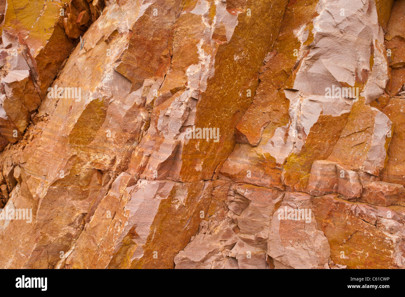 Yellowish-reddish rock wall in the Tonto National Forest. Arizona. Stock Photo