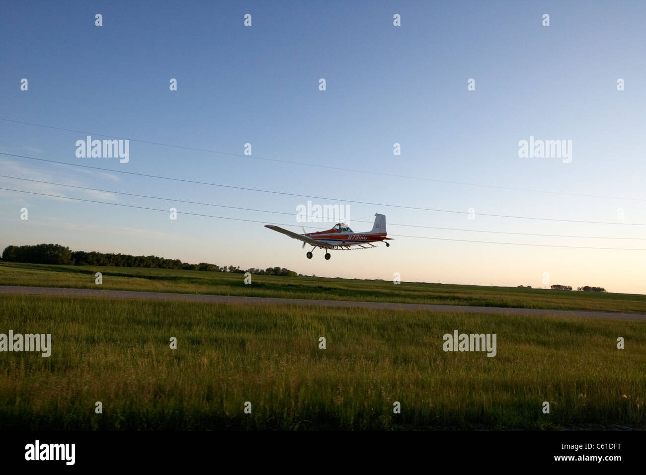small cessna a118b cropdusting aircraft flying low over highway and fields under electricity wires north dakota usa Stock Photo