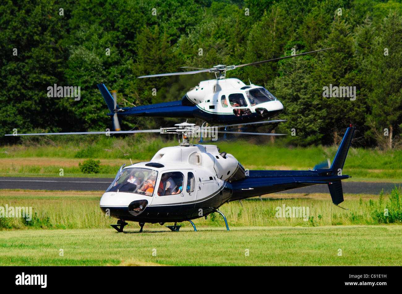 Two blue and white helicopters landing in a grass field Stock Photo
