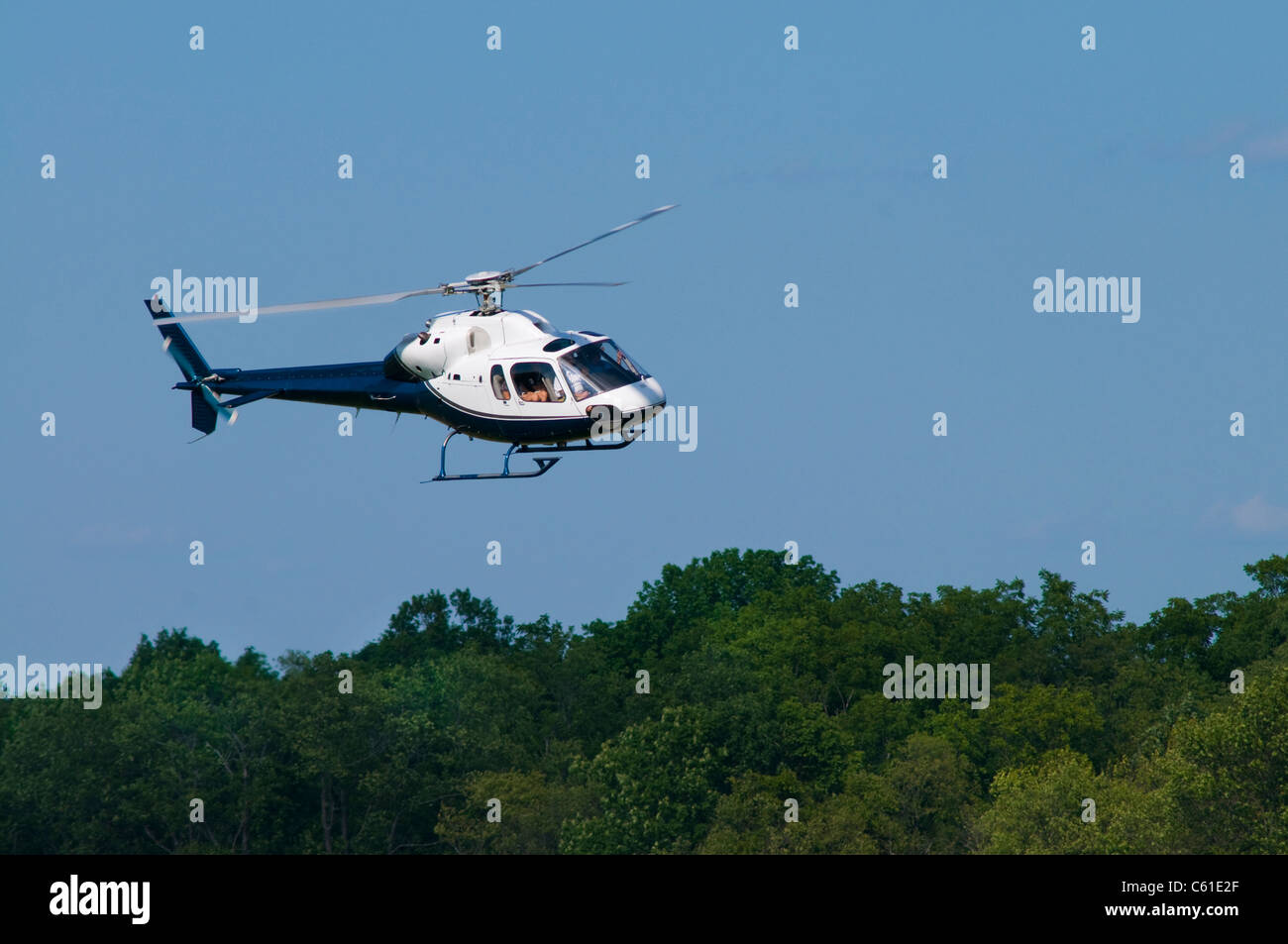 Helicopter landing or taking off over trees Stock Photo