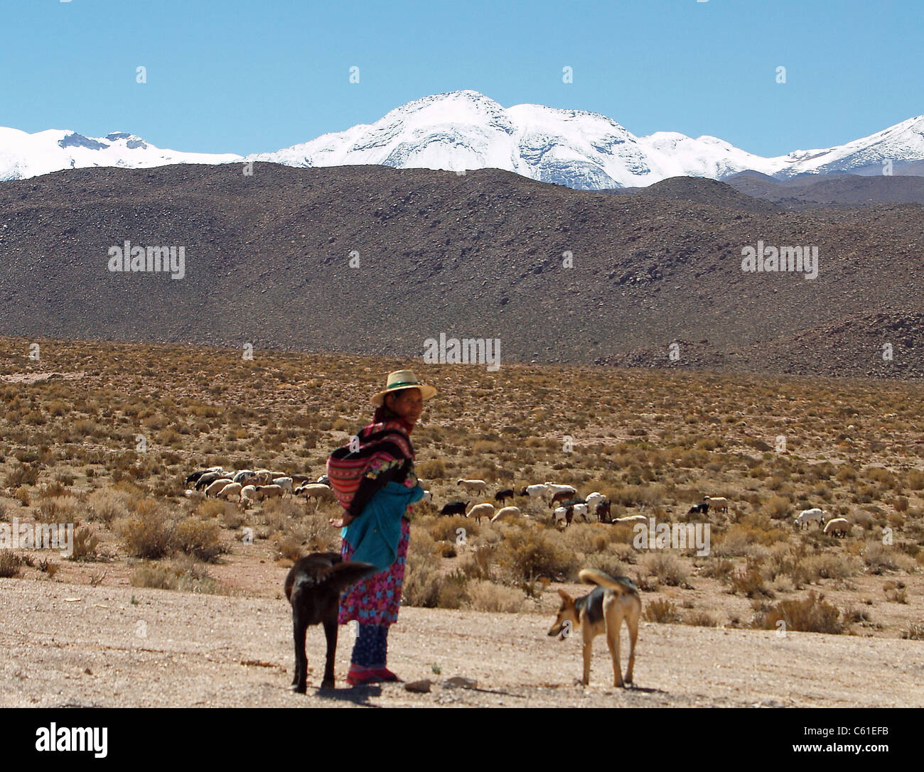 Native people chile hi-res stock photography and images - Alamy