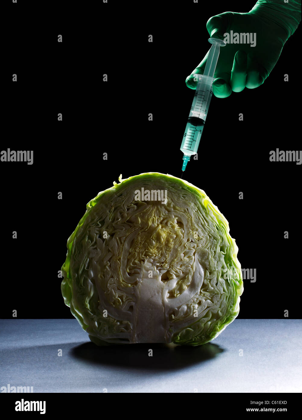 Cabbage with Hypodermic Syringe Stock Photo