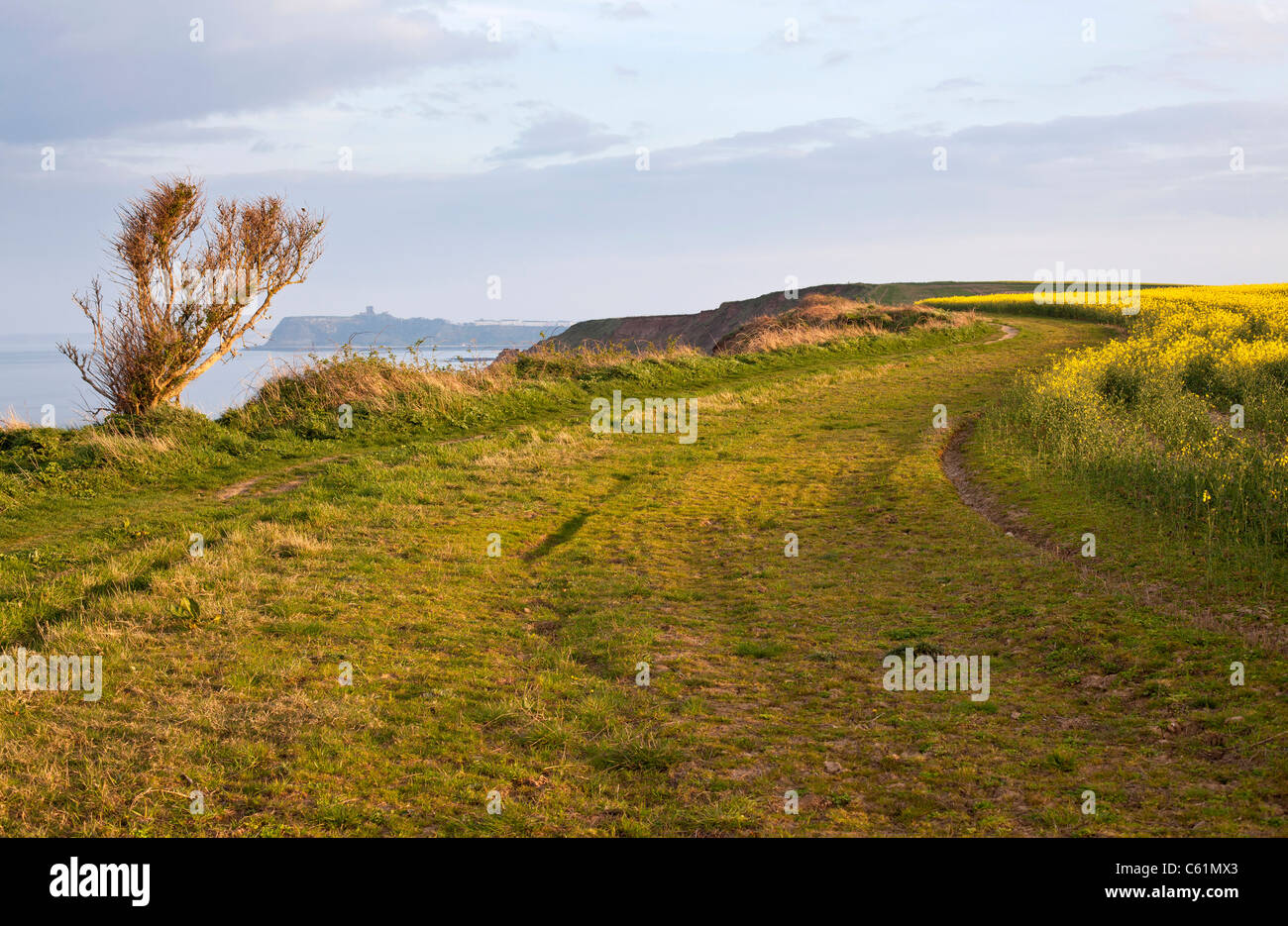 Cliff top view near Scarborough, North Yorkshire Stock Photo Alamy
