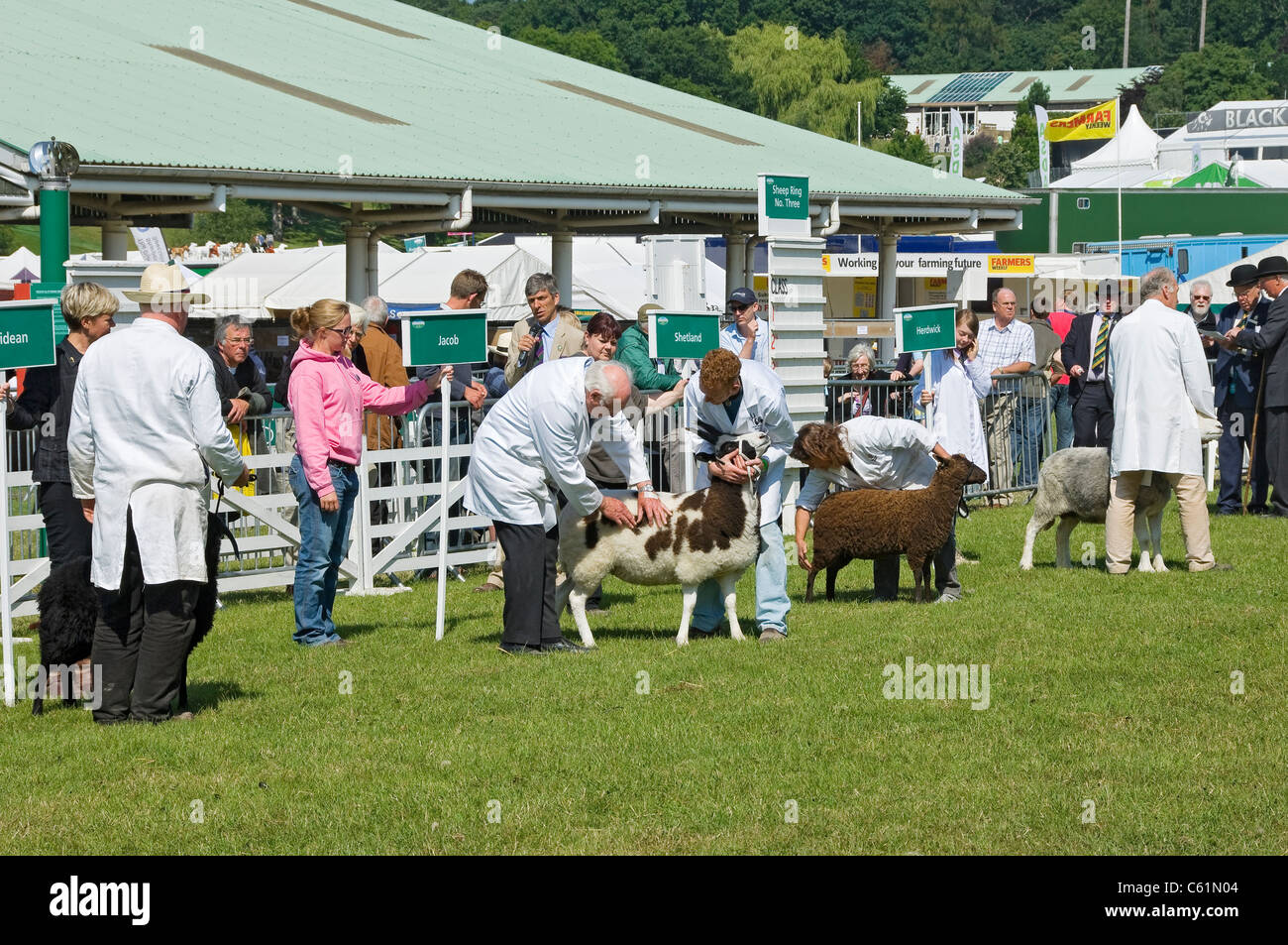 Farmers showing their sheep at the Great Yorkshire Show in summer