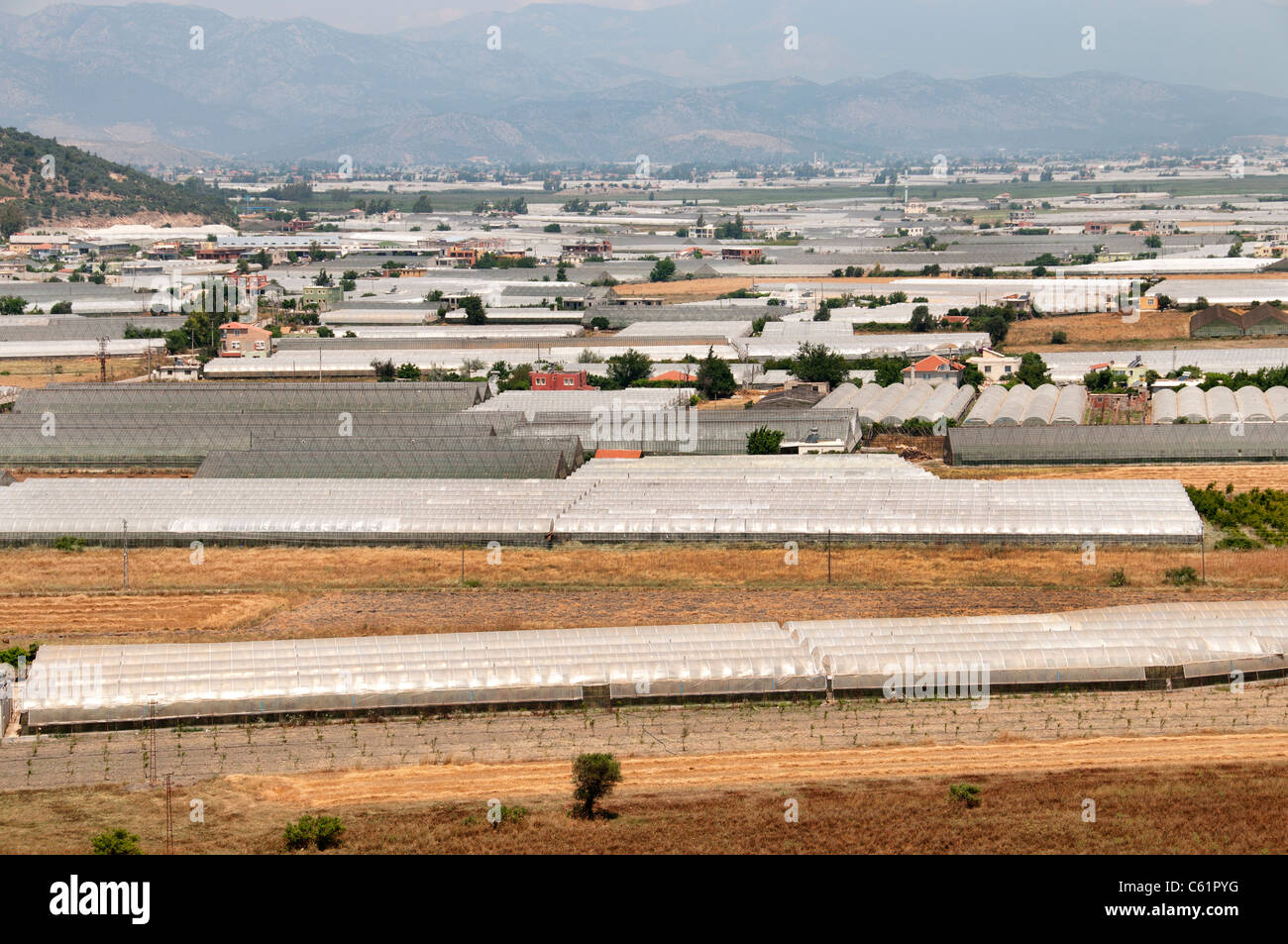 Glasshouse hires stock photography and images Alamy