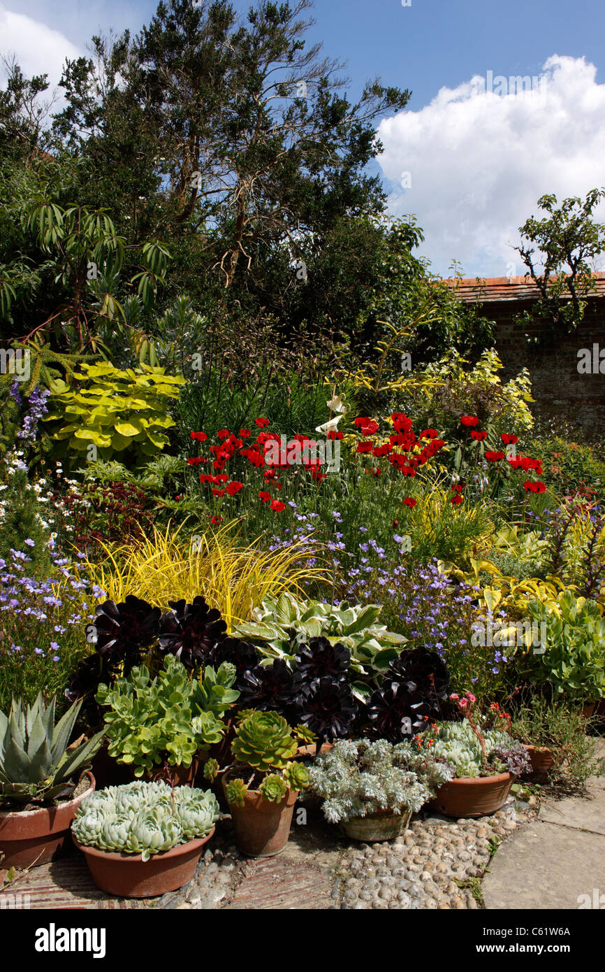 Summer garden flower border hi-res stock photography and images - Alamy