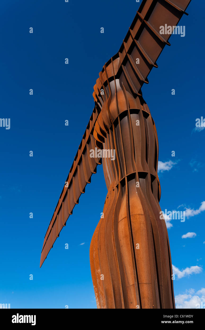 Gateshead sculpture hires stock photography and images Alamy