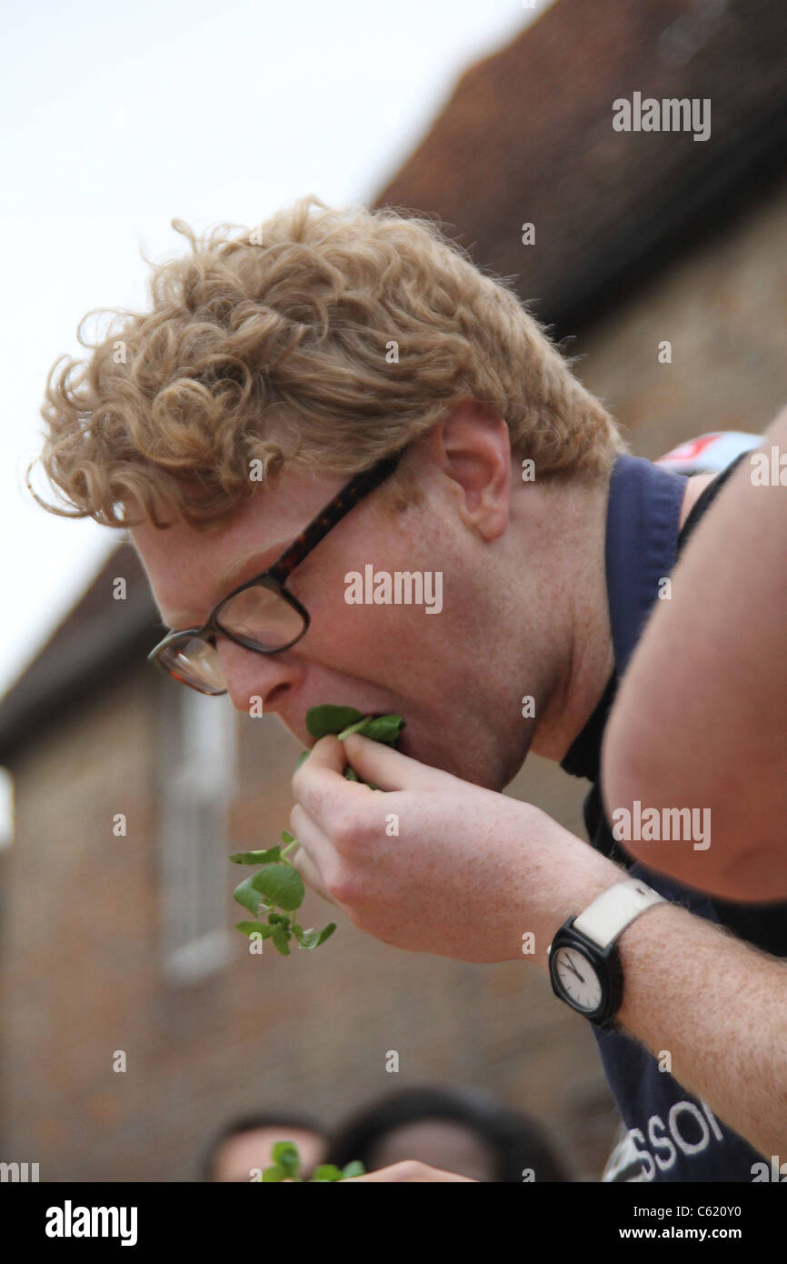 Water Cress Stock Photo