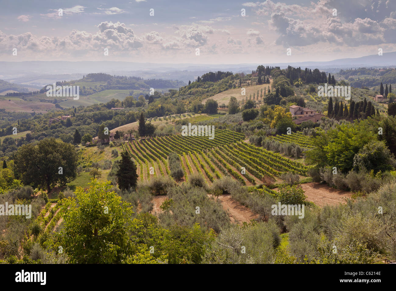 Panoramic view of typical Tuscany countryside viewed from San Gimignano, Italy, undulating rolling hills Stock Photo