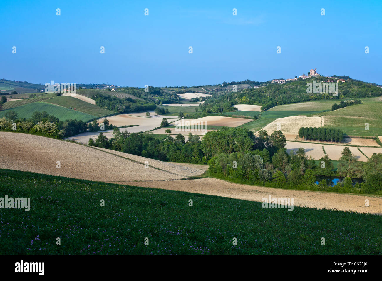 Italy, Piedmont, Monferrato, Cereseto, view on the country Stock Photo
