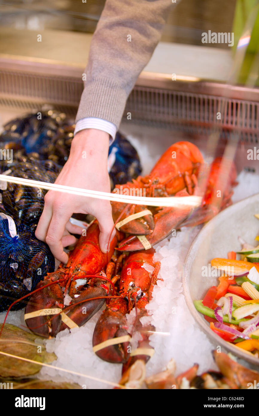 A freshly cooked lobster in a grocery store seafood display Stock Photo