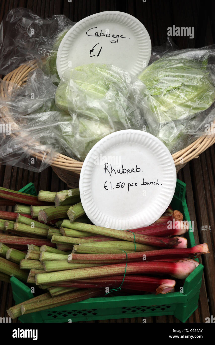 Beach Cabbage High Resolution Stock Photography and Images Alamy