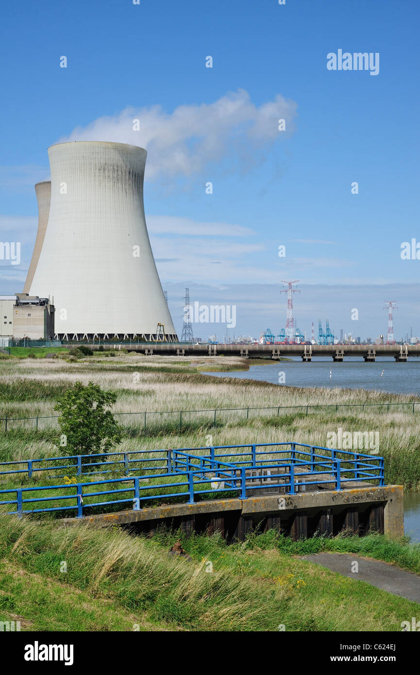 Cooling towers of the Doel Nuclear Power Plant along the river Scheldt at Kieldrecht / Beveren, Belgium Stock Photo
