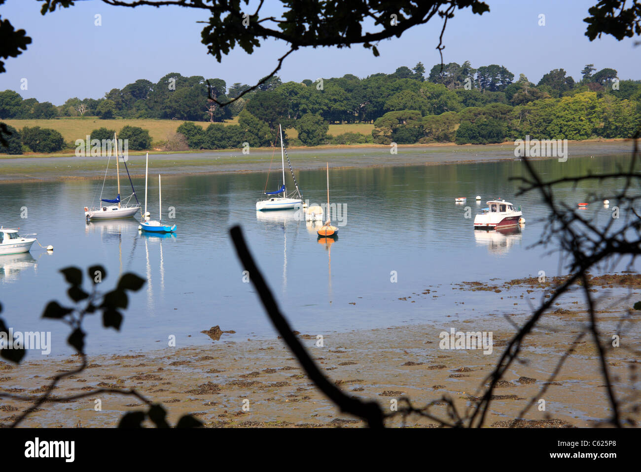 Low tide at Riviere d'Auray, Point Noire, Le Rohello, Baden, Morbihan, Brittany, France Stock Photo