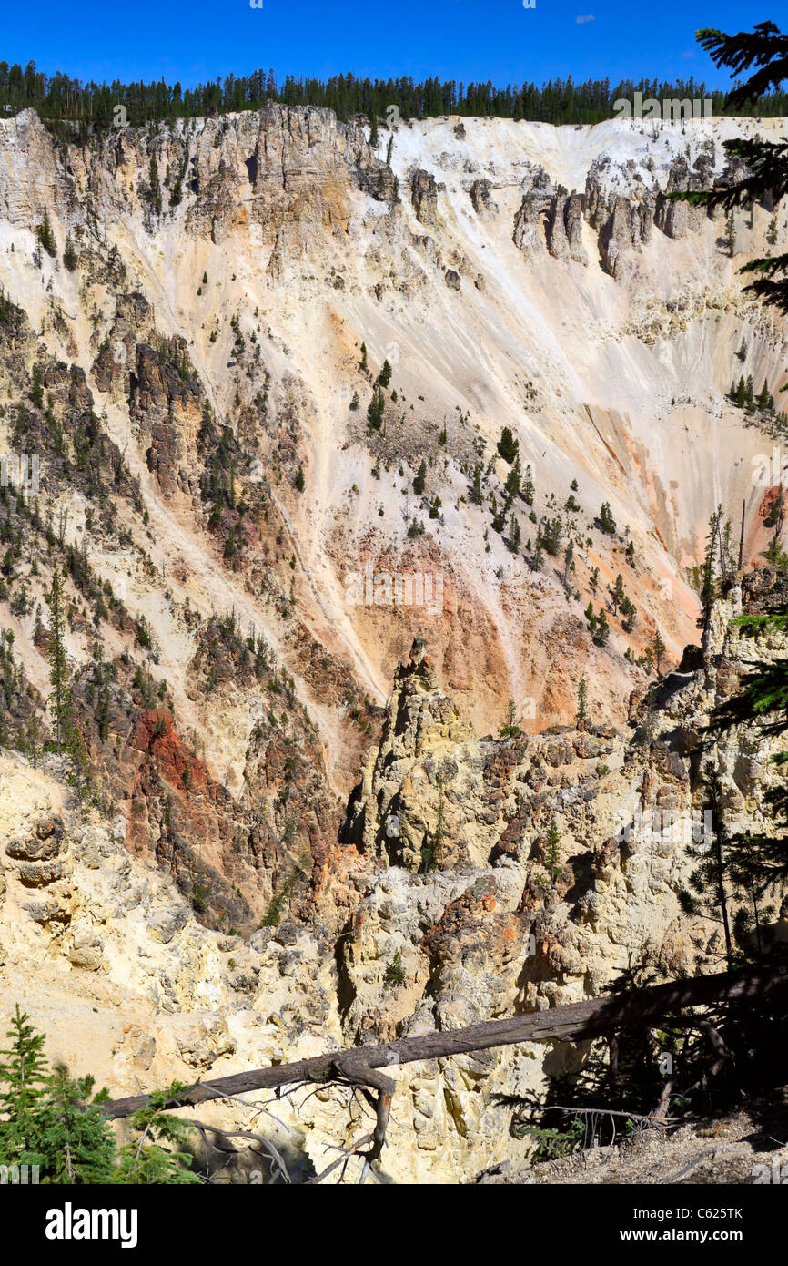 Colorful cliffs of the gorge of the Yellowstone River below the falls. Colors are from hot water acting on volcanic rock. Stock Photo