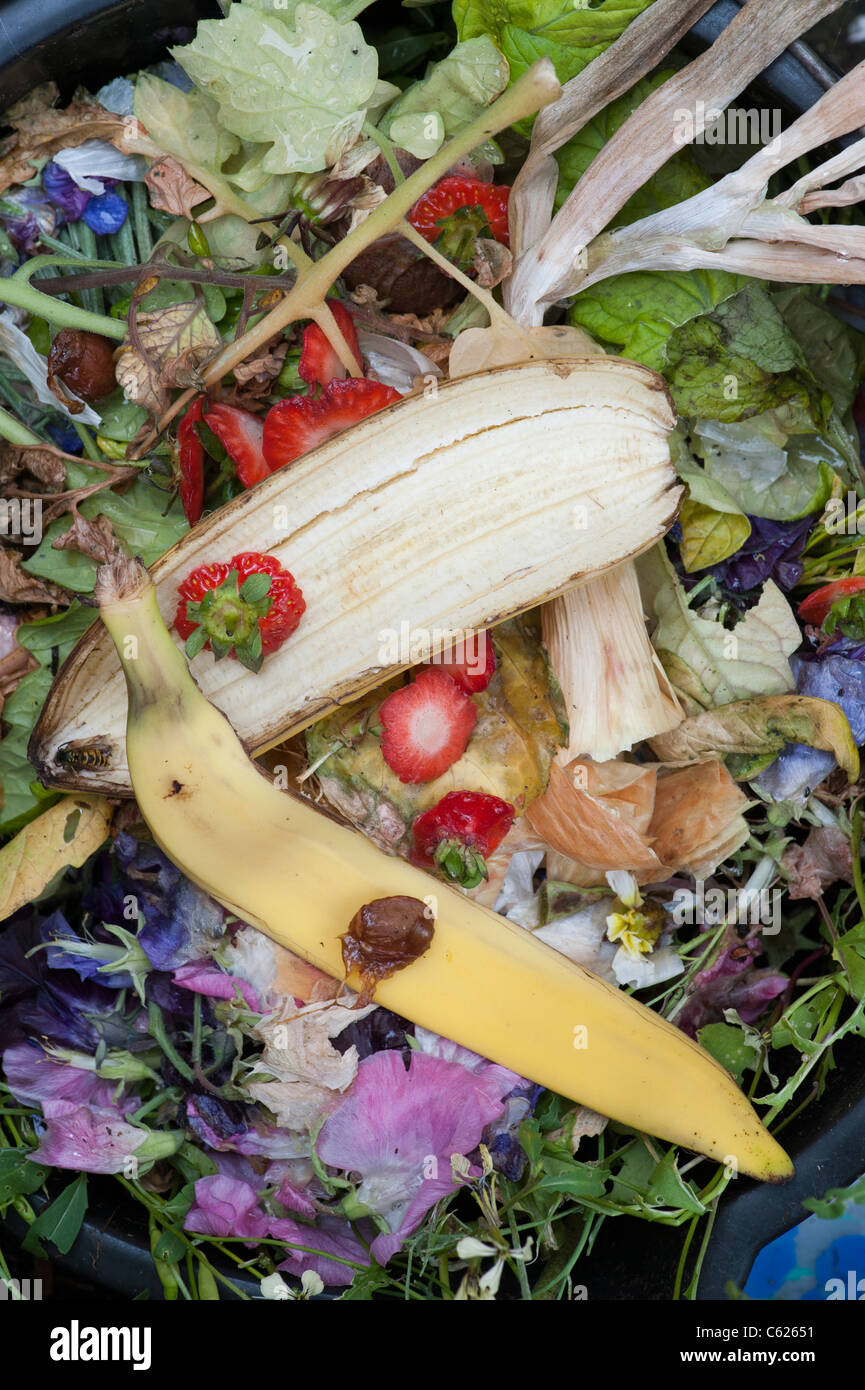 Fruit, flower and plant waste. Garden waste in a bucket ready to go on