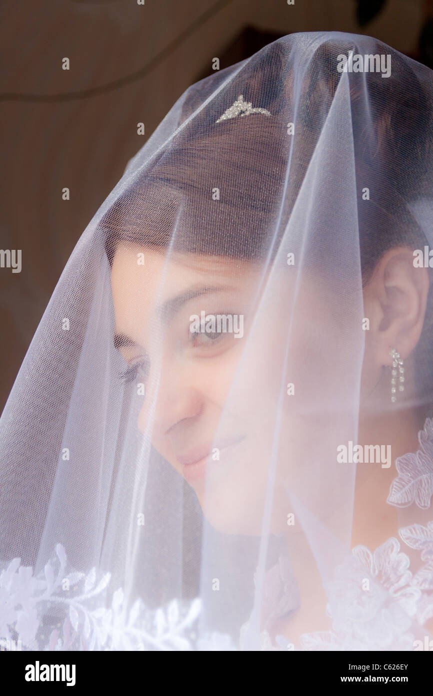 Portrait of the beautiful bride under a veil. Soft and smooth Stock ...