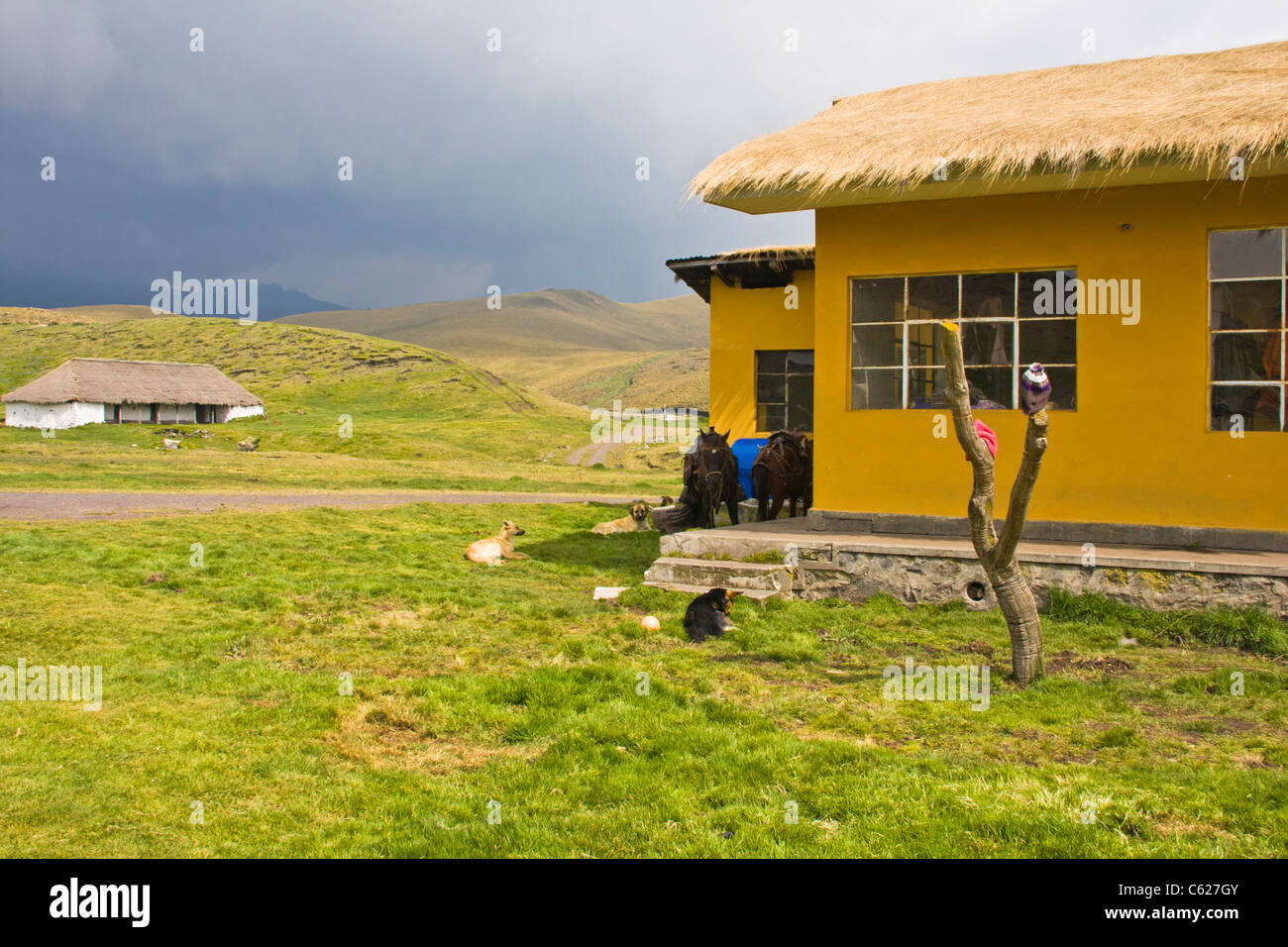 Antisana Hacienda in the Antisana Reserve in Ecuador. Altitude here is over 11000  feet or approx 3400 meters Stock Photo - Alamy