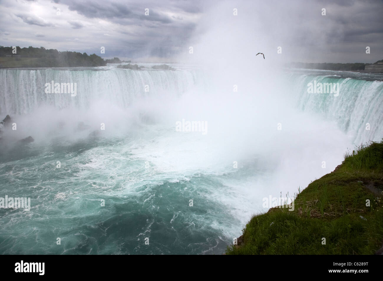 The horseshoe falls niagara falls ontario canada Stock Photo