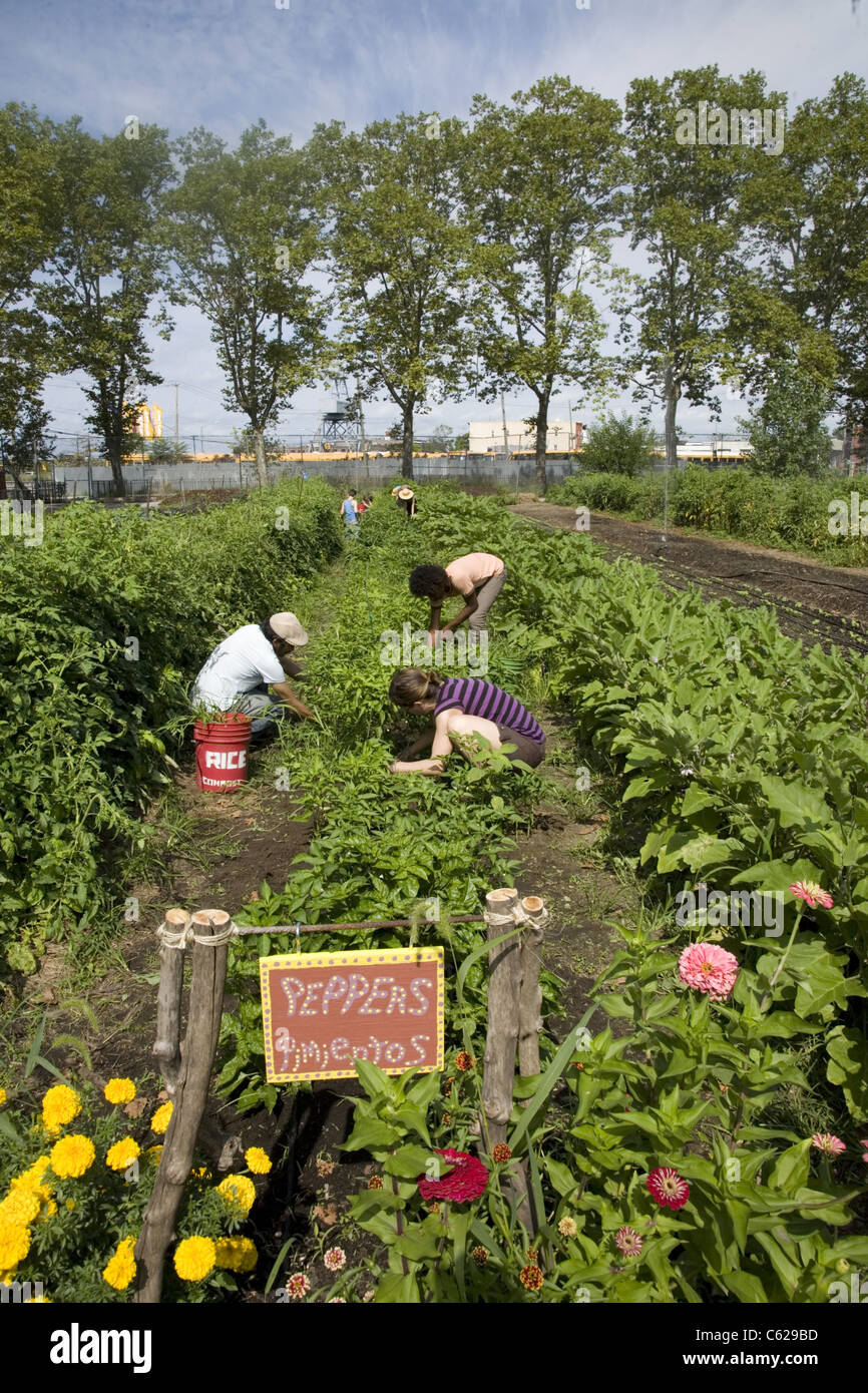 Red hook new york city hires stock photography and images Alamy
