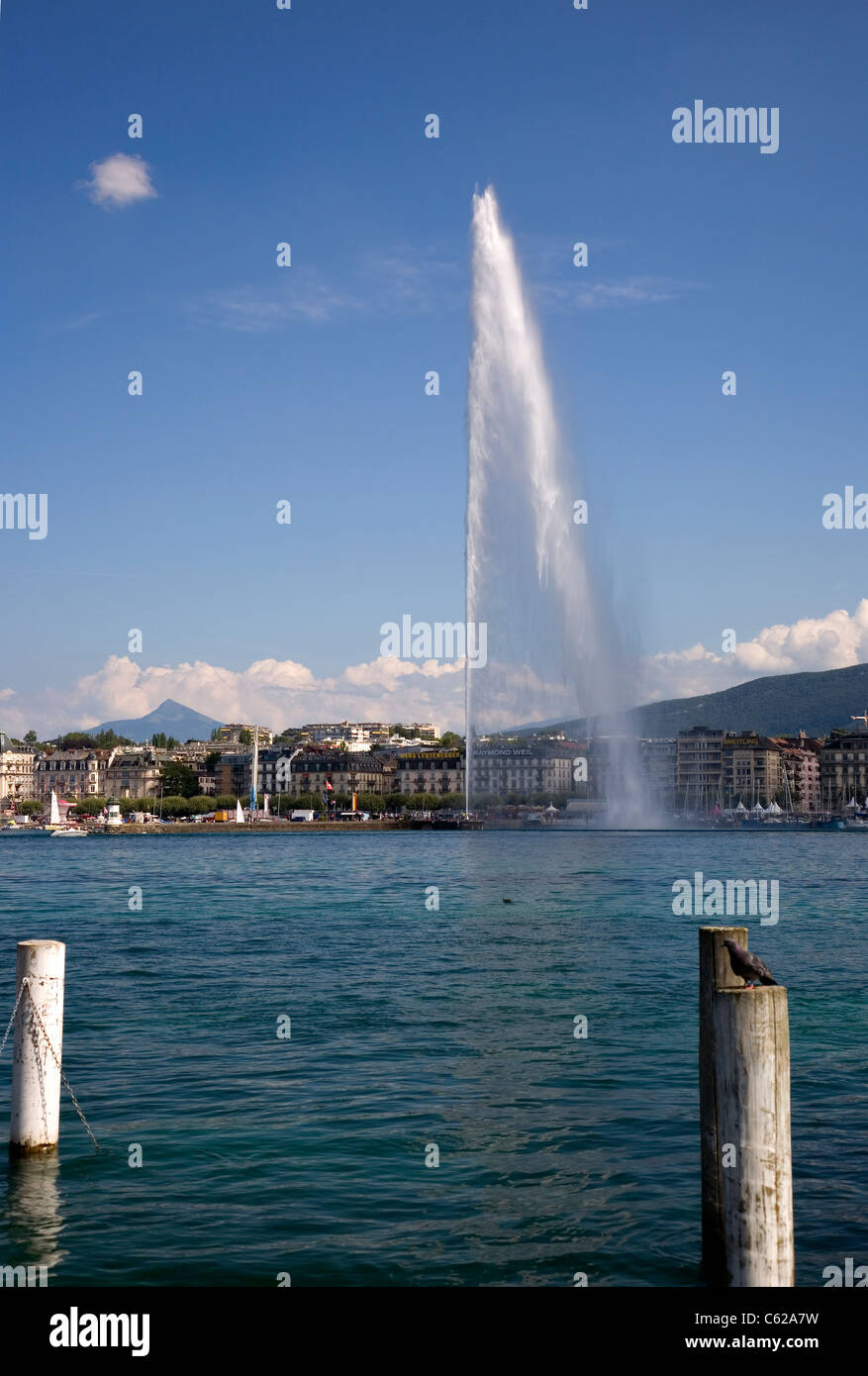 Jet D'eau in Geneva Stock Photo