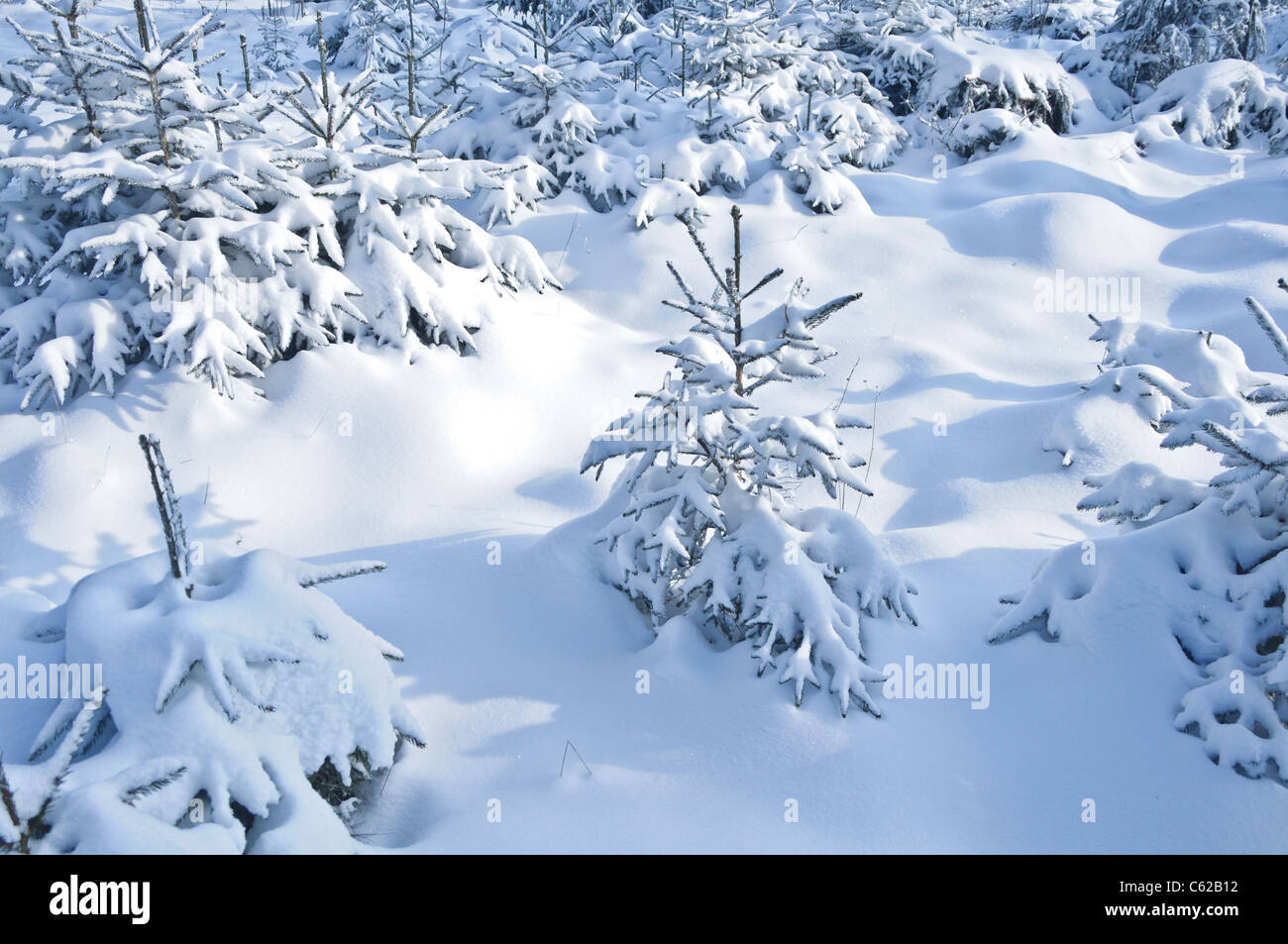 Tans hires stock photography and images Alamy