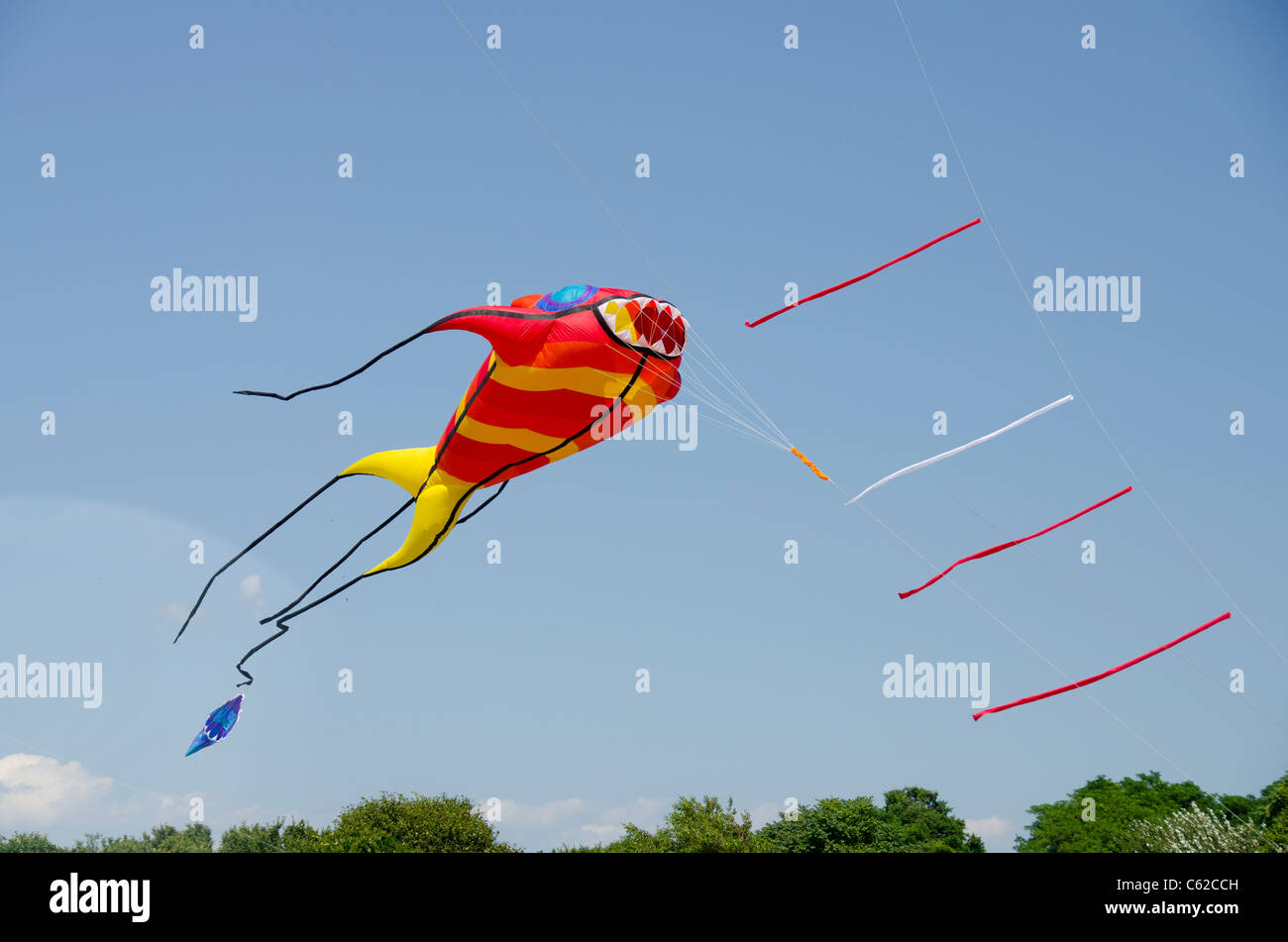 Rhode Island, Newport. Kite flying at Brenton Point State Park on Ocean