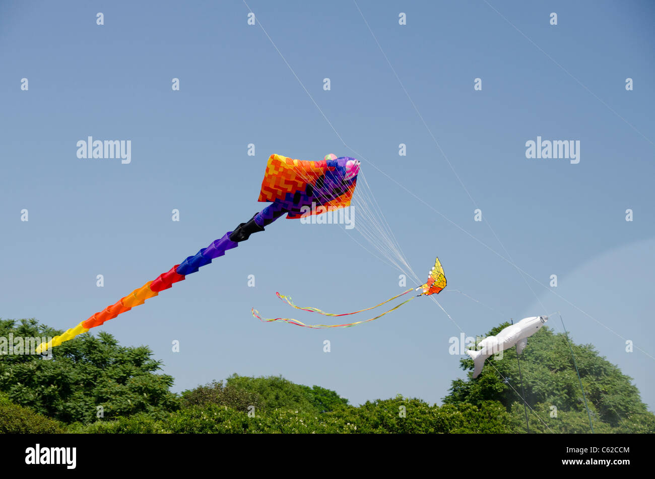 Rhode Island, Newport. Kite flying at Brenton Point State Park on Ocean