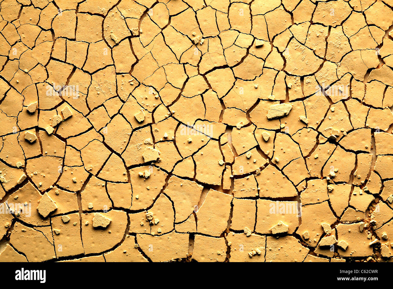 Dried cracked earth Stock Photo