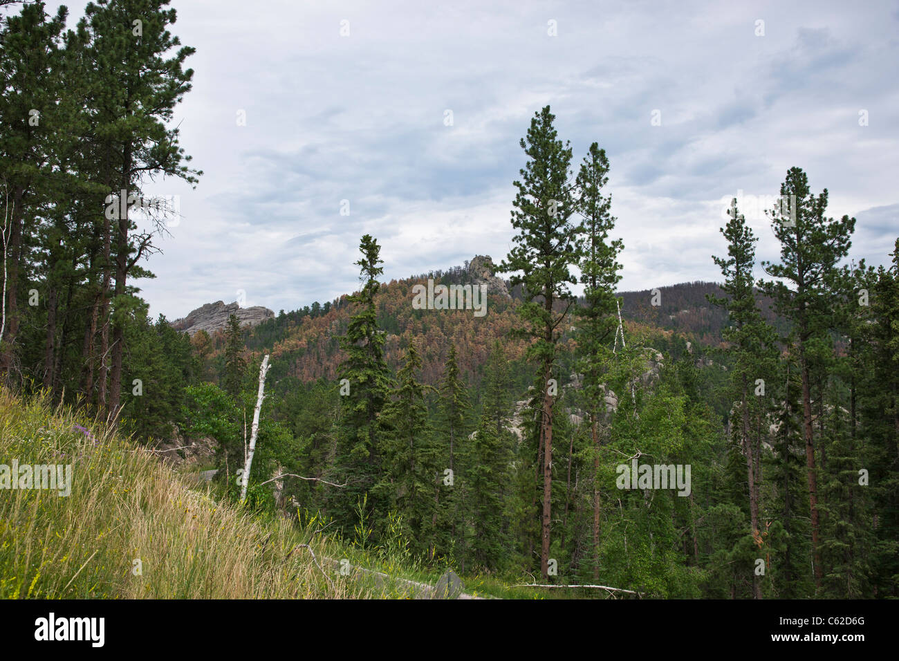 Hills hi res hi-res stock photography and images - Alamy