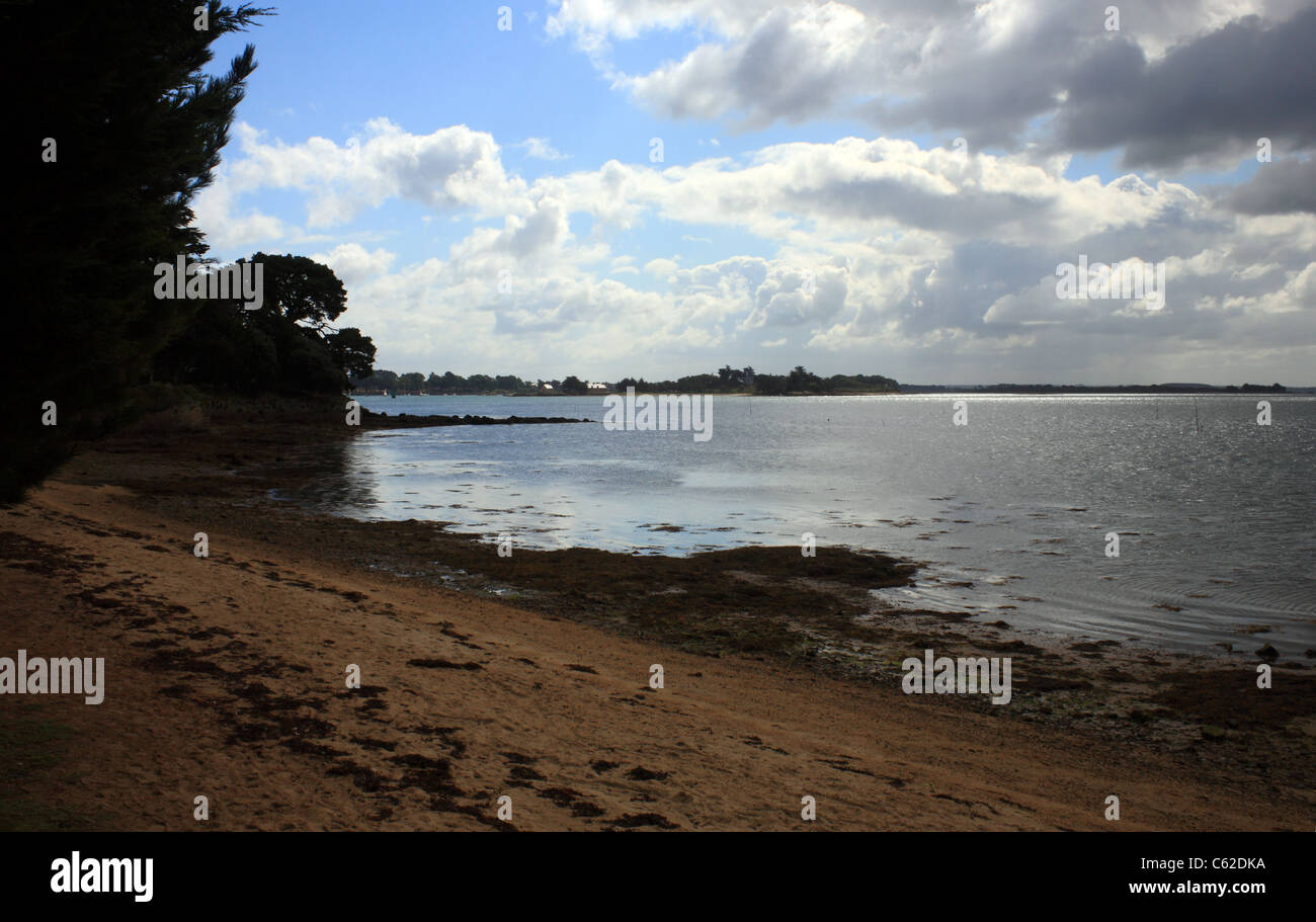 View Of Golfe Du Morbihan From Plage De Penboc h Arradon Morbihan 