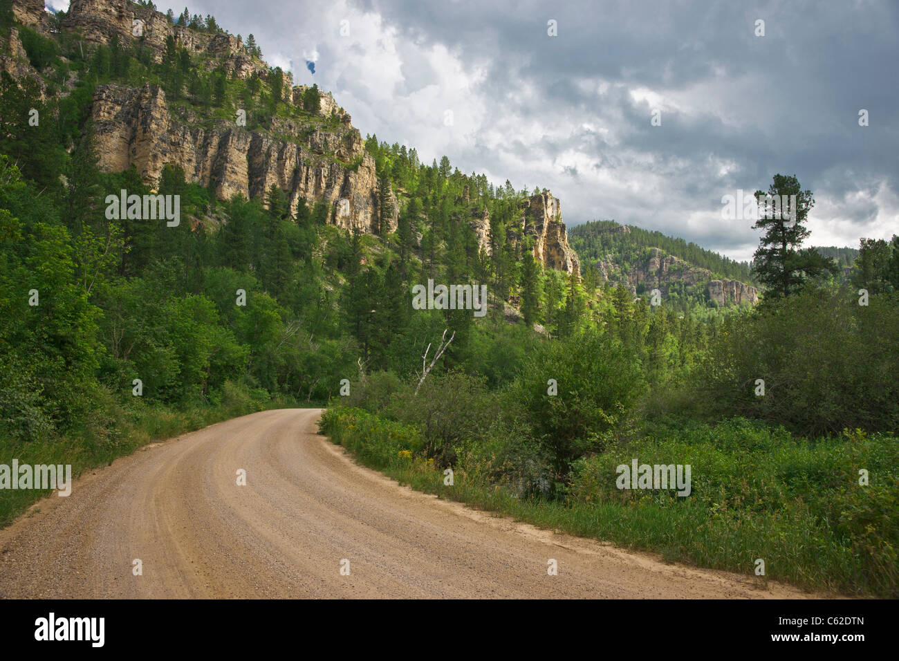 Spearfish Canyon pine and spruce covered mountains color summer vista