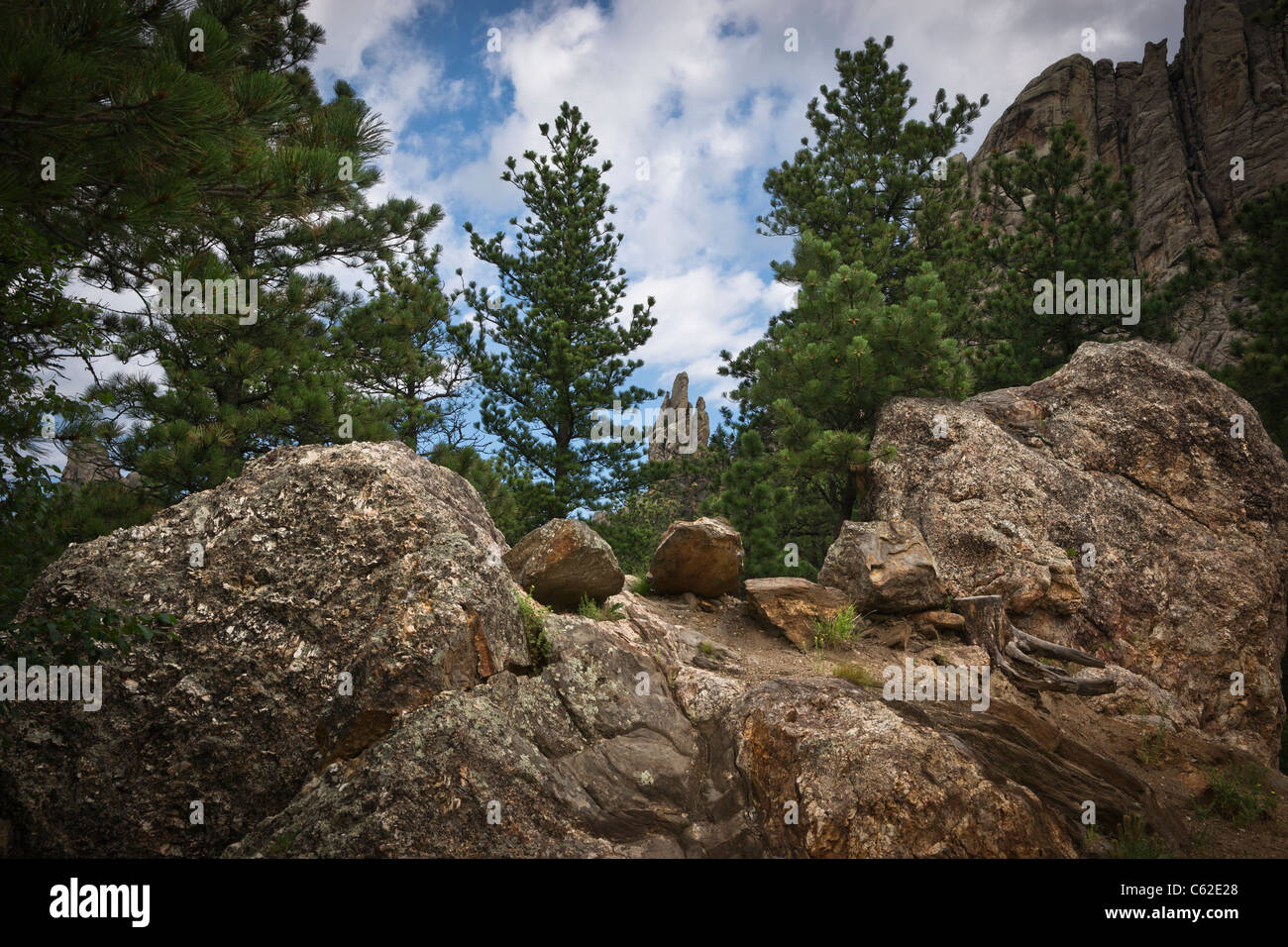 Scenic pine and spruce covered mountains landscape view in Black Hills in South Dakota Stock Photo