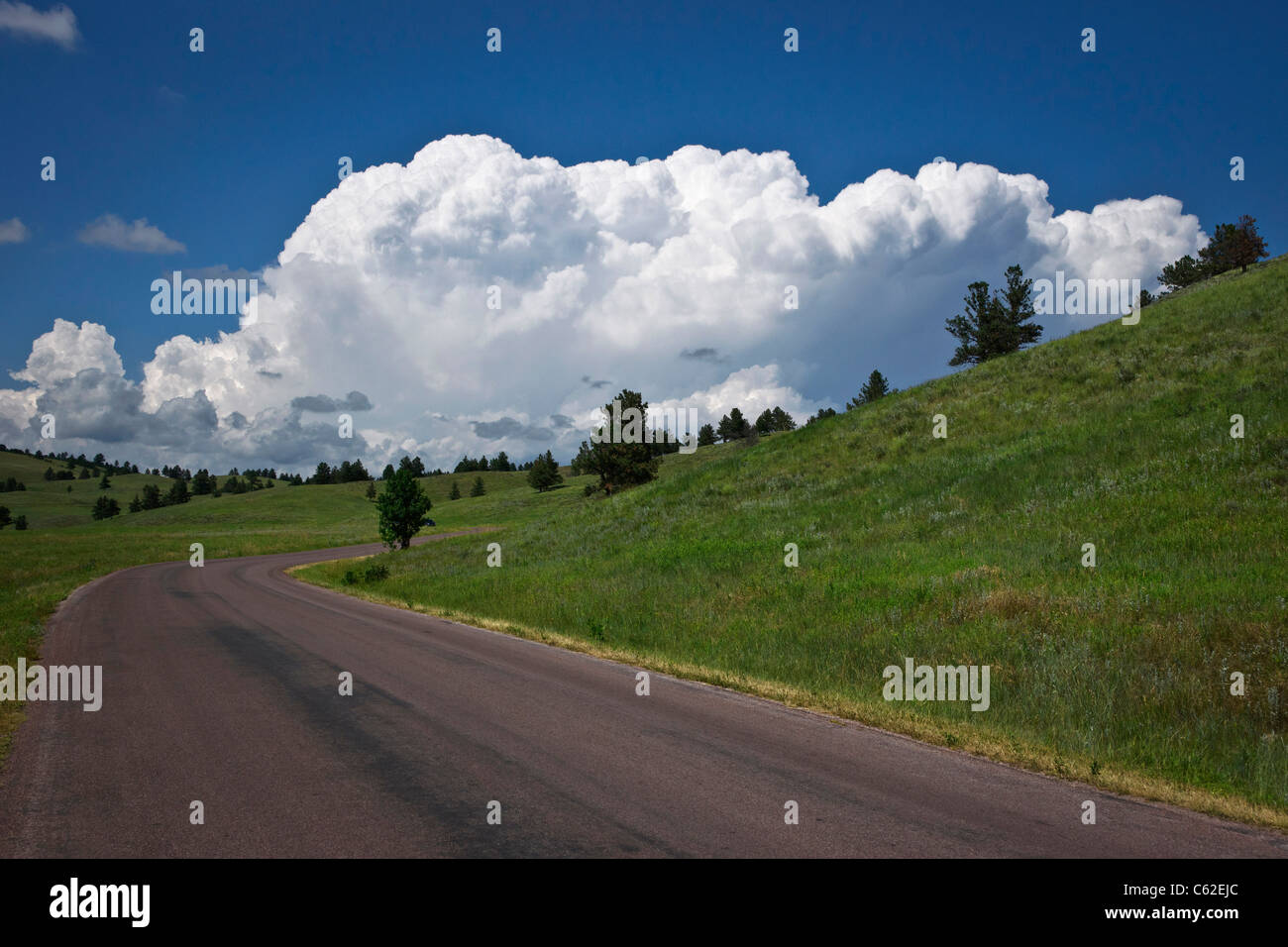 Custer State Park in Black Hills South Dakota SD  pictures images photos large high resolution horizontal in USA US hi-res Stock Photo