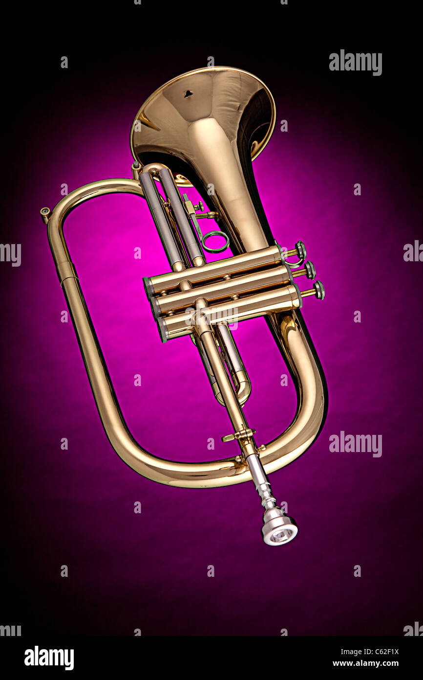 A gold brass trumpet flugelhorn isolated against a spotlight pink background. Stock Photo