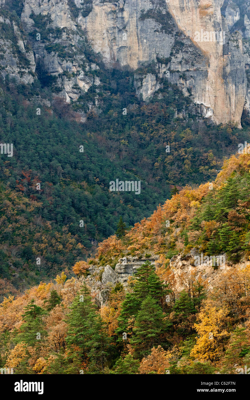 The Tarn gorge, Cevennes National Park, Lozere, Languedoc ...