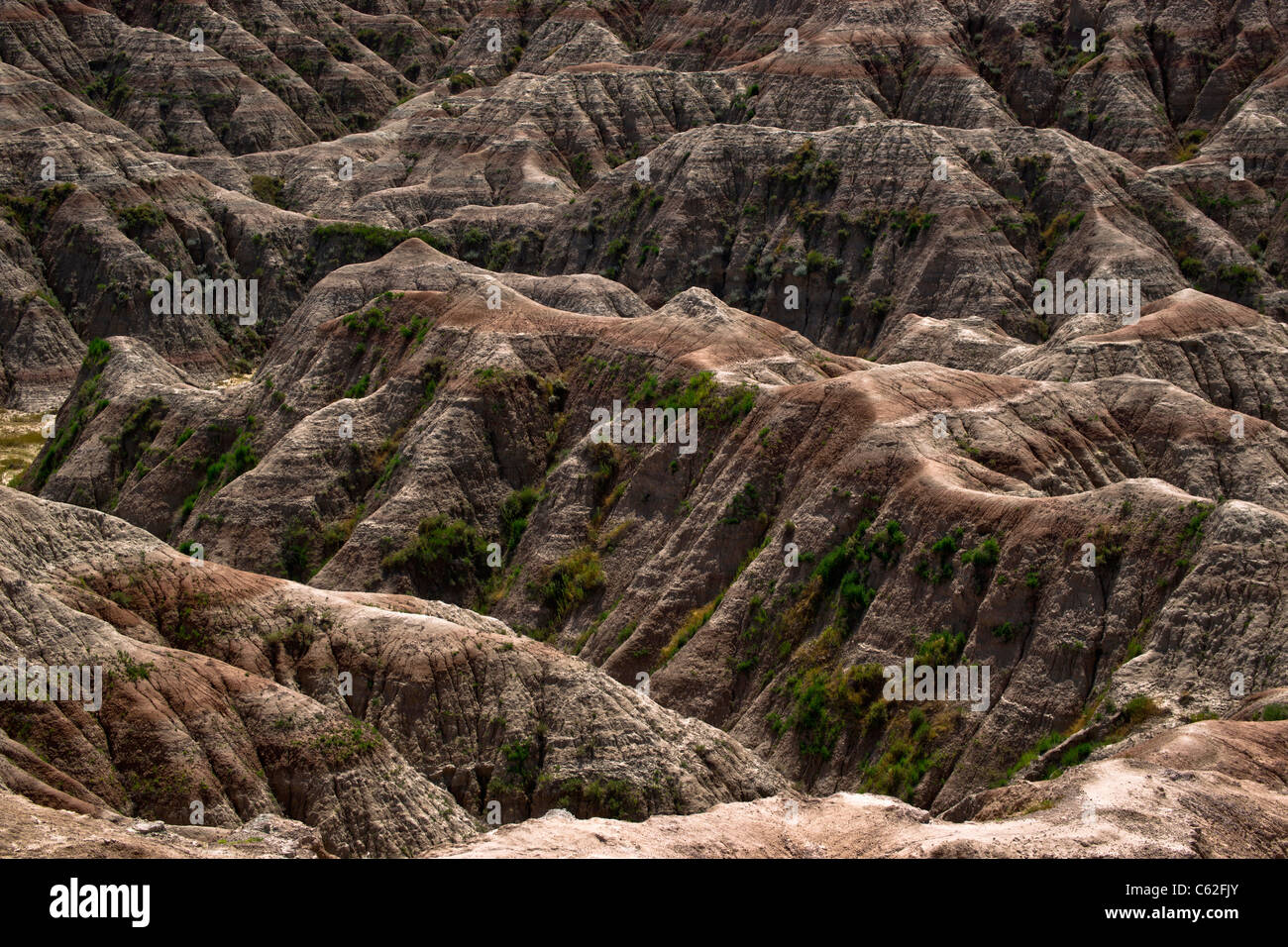 Ecosystem erosion hi-res stock photography and images - Alamy