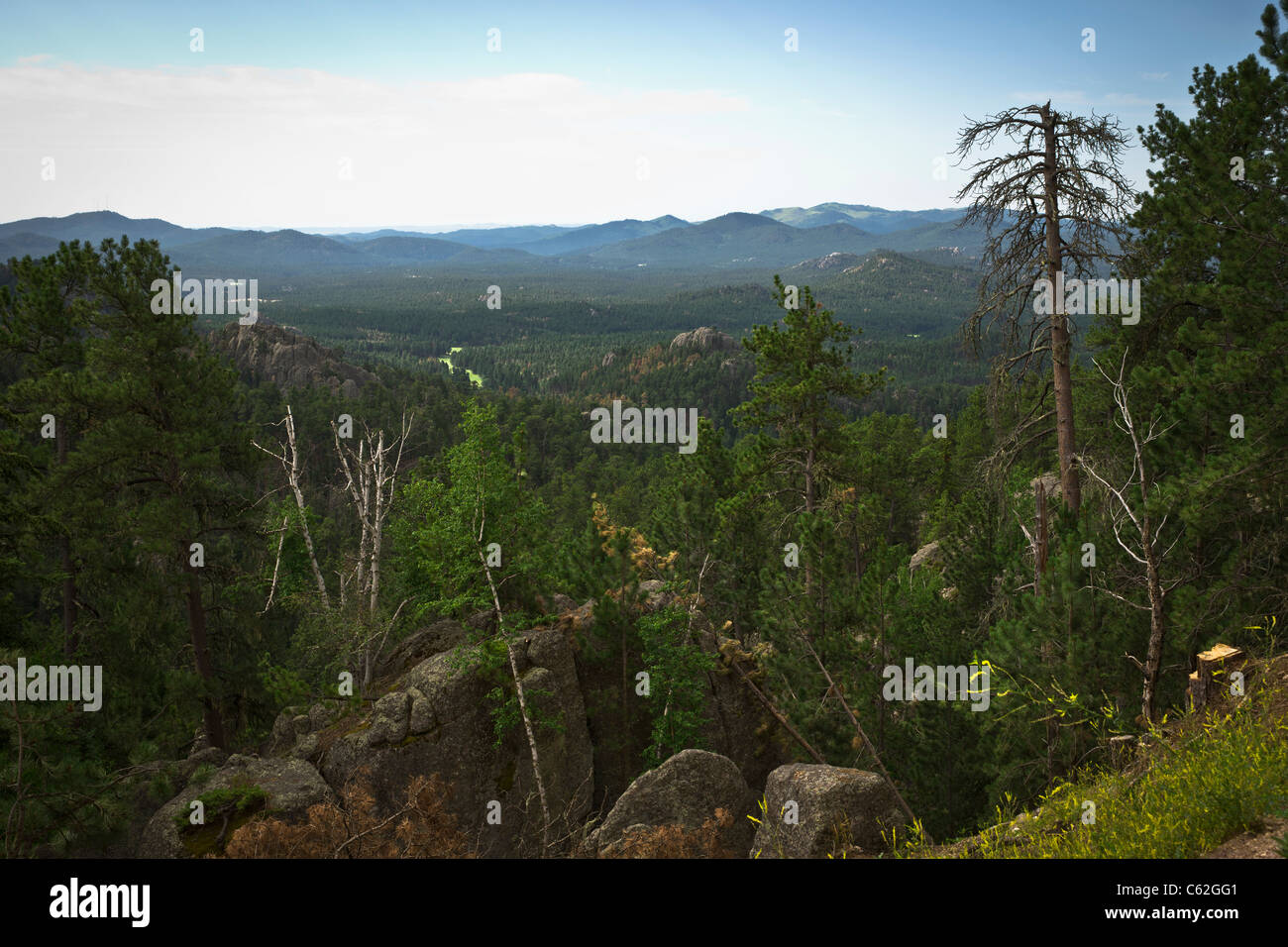 Black Hills in South Dakota USA US Needles Highway Custer State Park National Forest beautiful landscape top view down horizontal in USA US hi-res Stock Photo