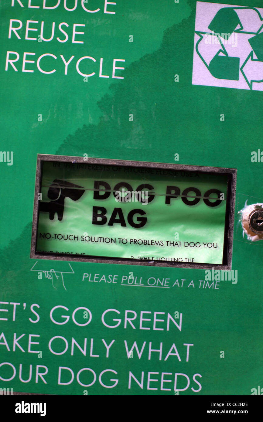 Can Dog Poop Go In The Green Bin