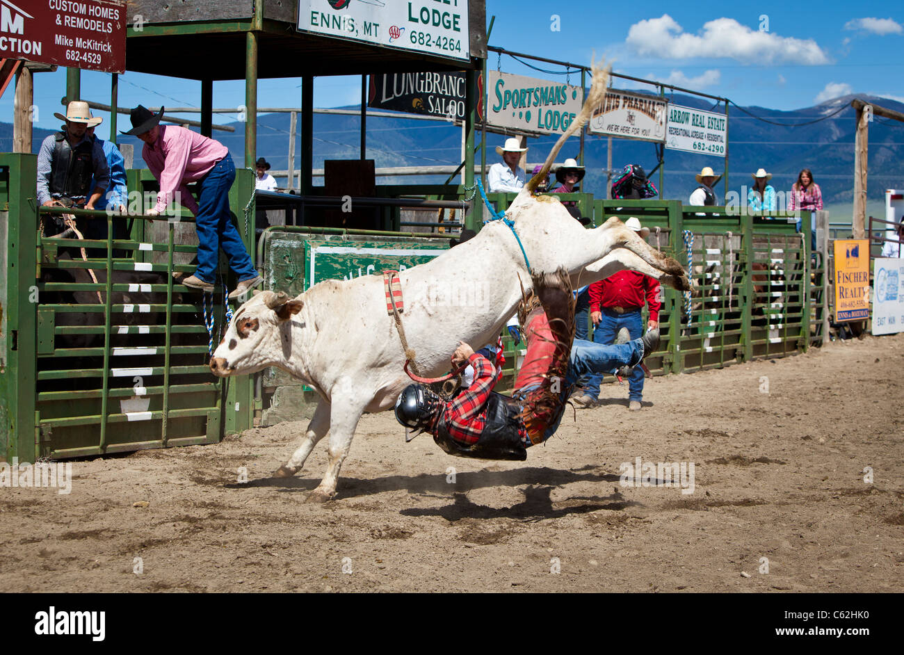 Bull rider gets thrown hires stock photography and images Alamy