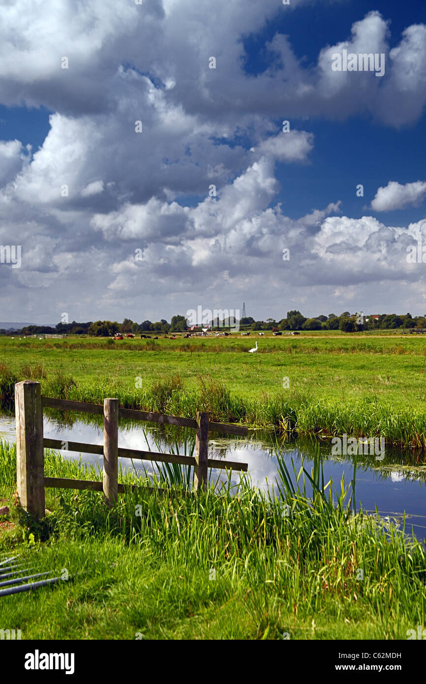 The Sowy River on the Somerset Levels is one a main drainage channel ...