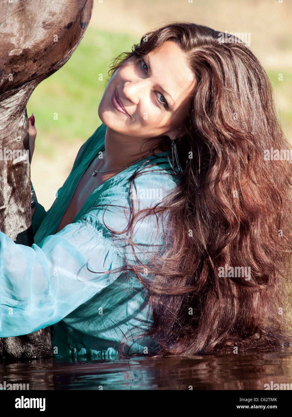 Horse in water hires stock photography and images Alamy