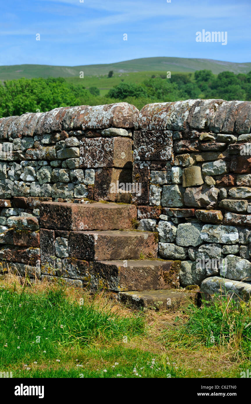 Stone step stile over drystone wall. Kirkland, Cumbria, England