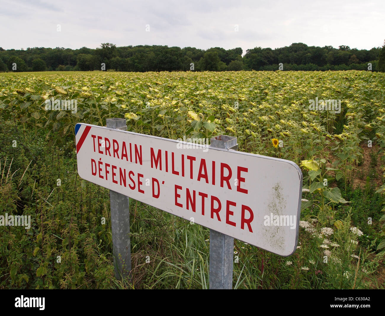Military Terrain warning sign at a large sunflower field, Loire valley, France Stock Photo