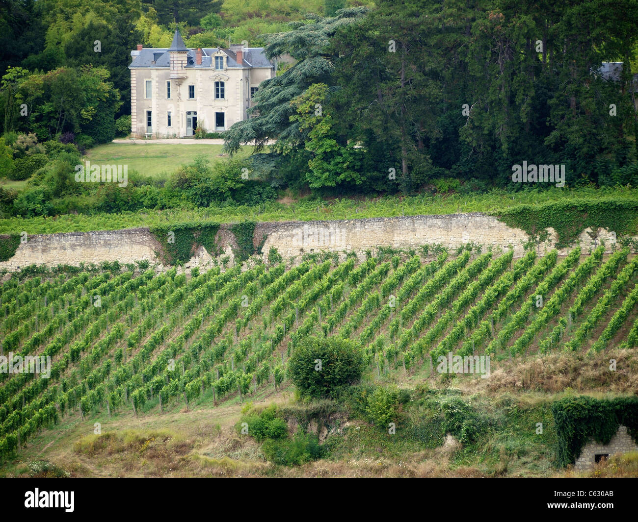 Mansion with vineyard, Chinon, France Stock Photo