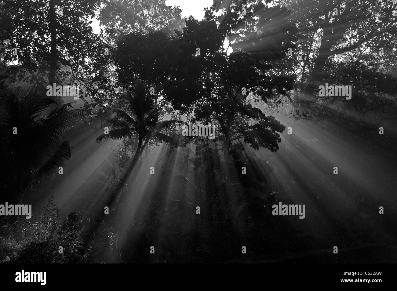 Morning sun sunrise Black and White Stock Photos Images Alamy