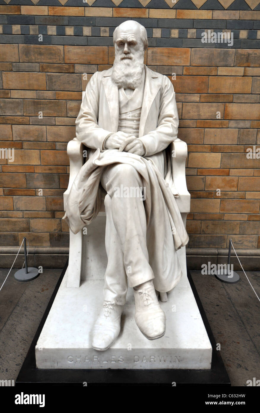 Charles Darwin statue, Natural History Museum, London, Britain, UK Stock Photo
